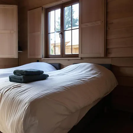 In Near Ardennes Trails Vencimont