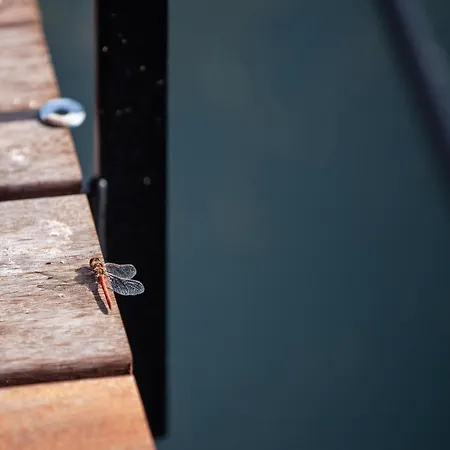 Сasa de vacaciones In Near Ardennes Trails